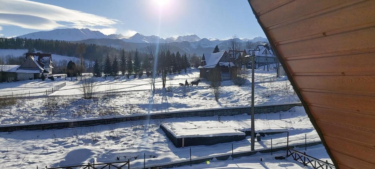 Willa Siklawa Zakopane Bagian luar foto